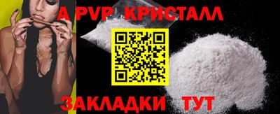 стаф Новоалександровск