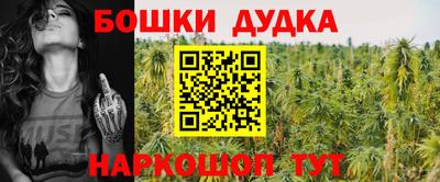 стаф Новоалександровск