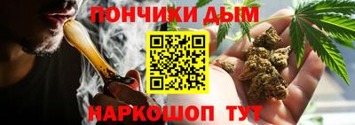 МДПВ Новоалтайск