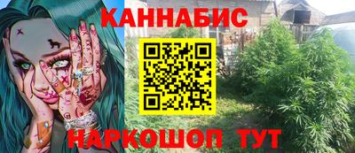 стаф Новоалександровск