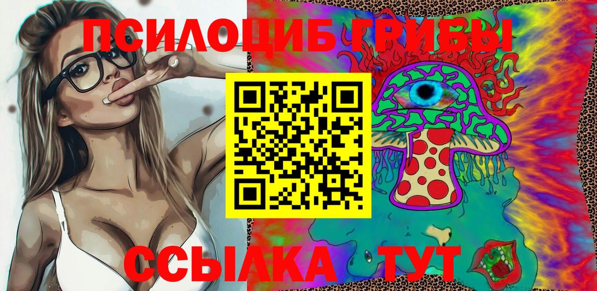 Псилоцибиновые грибы Cubensis  хочу   Псилоцибиновые грибы GOLDEN TEACHER  Ногинск  Вход с VPN 
